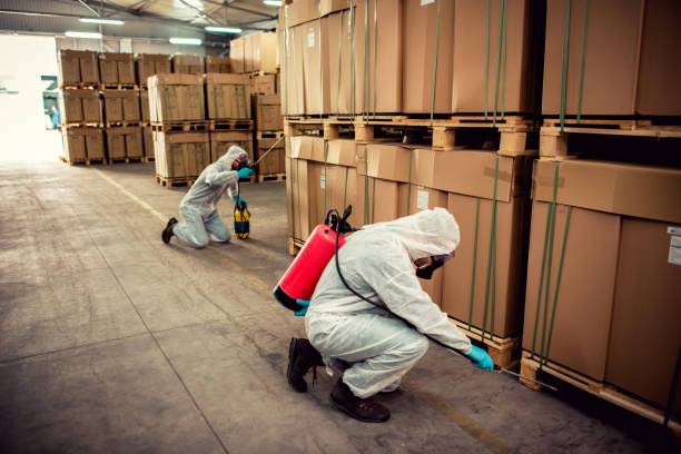 Best Local Pest Control Services  in Shorewood Forest, IN