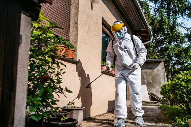 Best Flea Control Services  in Shorewood Forest, IN