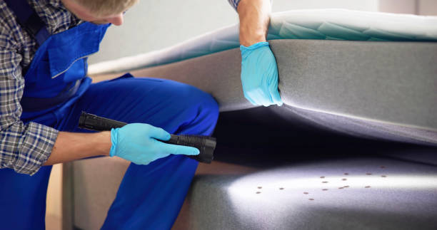 Best Flea Control Services  in Shorewood Forest, IN
