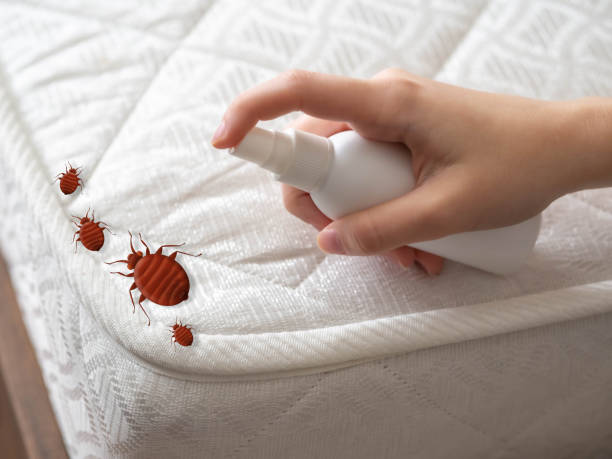 Best Residential Pest Control  in Shorewood Forest, IN