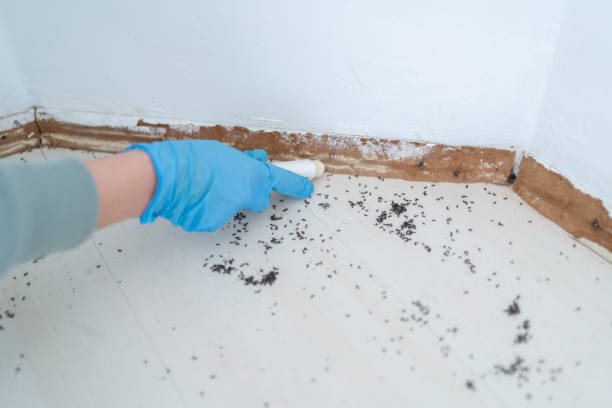 Best Best Pest Control Companies  in Shorewood Forest, IN