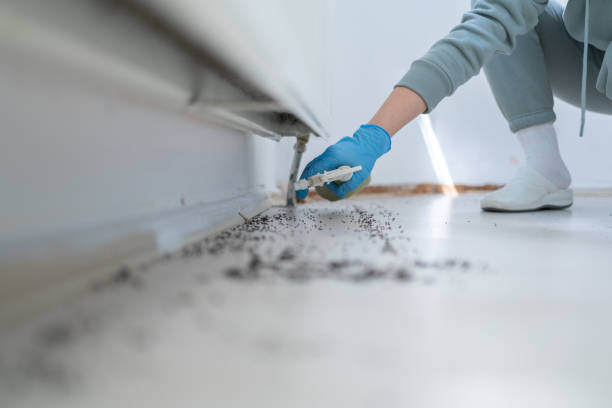 Best Cockroach Control Services  in Shorewood Forest, IN